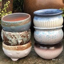 �ֹ����ՈA���ڶ��⻨����ׯ����Ⱥ������ɰ�չ��մ�ֲ�ﻨ��֮