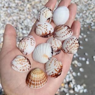 ����ؐ���������l�~���쾰��ˇƷ�b�������N��Ϻ���ؐ��һ��