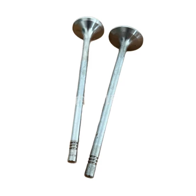 valve 51041010546, Valves and components