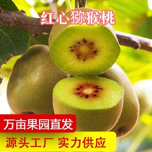 �a��ֱ�l�Ĵ��t���S�īJ�������rˮ���殐������������һ�����l