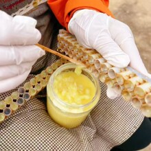 蜂皇浆蜂场直采自销蜂王浆250g瓶装春浆油菜浆新鲜蜂王浆原浆现货