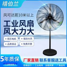 ���I��L�ȏ������ȴ��������������ţ���L�ȳ���ȩ���L������