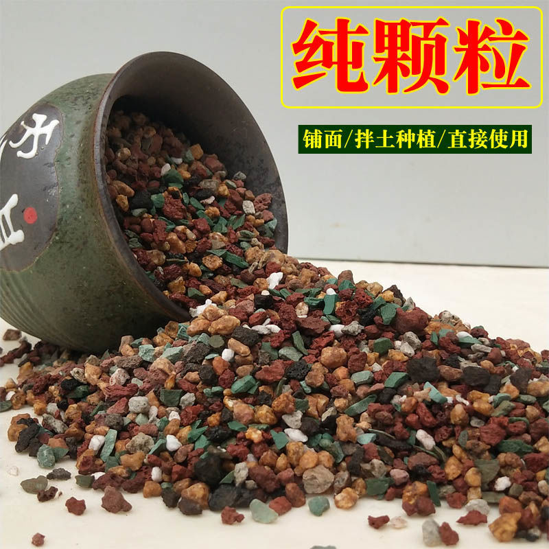 dd1b2733-1dfc-4988-b0a5-ee679ee6d472.jpe