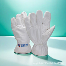 200度无尘手套安百利ABL-S51B电子工厂净化车间耐高温食品厂26cm