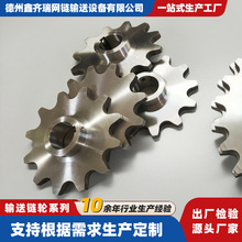 非标链轮石油化工机械设备传动配件16A大节距链轮耐磨不锈钢链轮