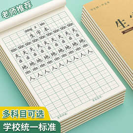 生字本小学生作业本子一年级田字格本拼音本数学方格写字练习本簿