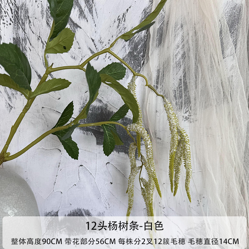 화이트