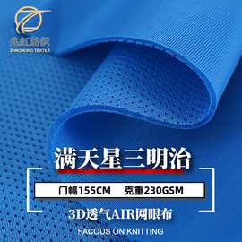 现货230g全涤纶3D鸟眼满天星三明治网眼布 加厚密底 坐垫座套面料