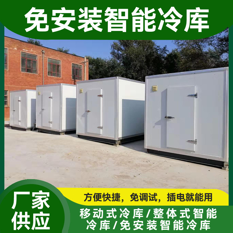 水果蔬菜保鲜冷库肉类冷冻冷库一体机 整体式智能冷库低温冷藏库