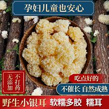 ЋDľy؛ oǰҰ ѩŴz