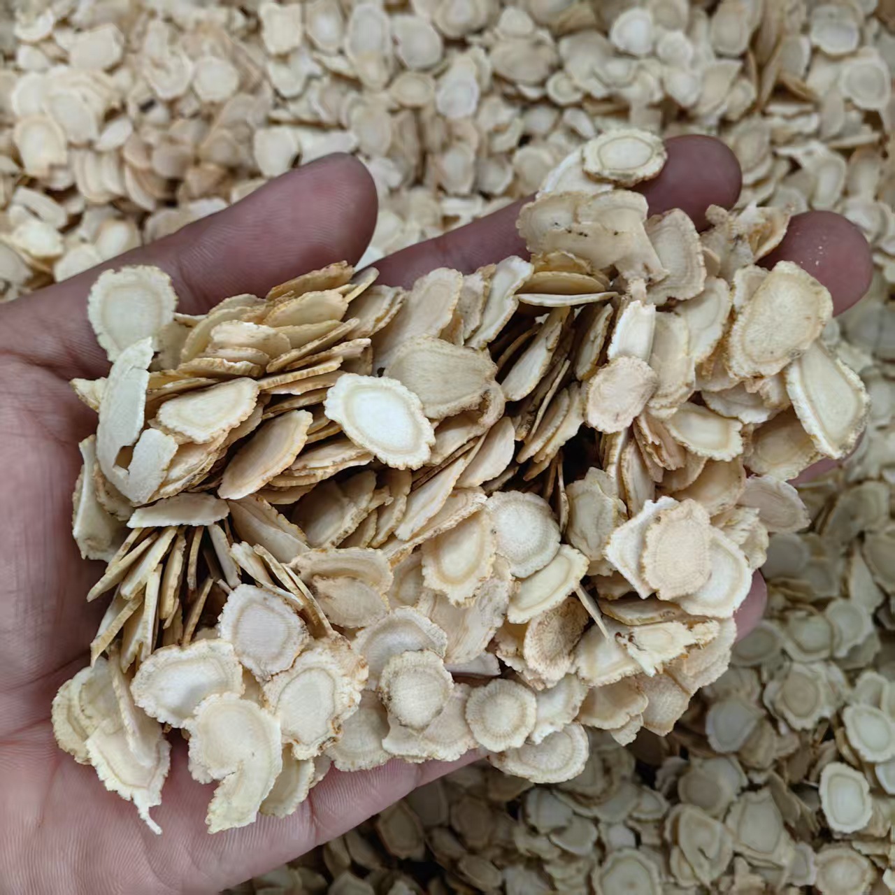 American Ginseng Slices Xi Yang Shen 500g Dried Panax quinquefolius Root for Tea and Decoction key features