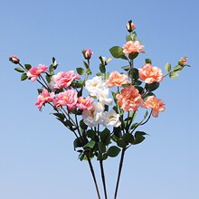 ���滨�¼�õ�嵥֦7ͷ��ɽ�¼����ҾӰڼ�������Ӱ���巿װ�λ�