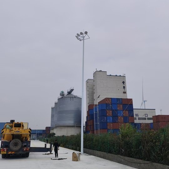 ��������LED�߸˵ƻ���·�Ƹ���15�׸߸˵� 20�׸߸˵������㳡��