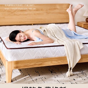 ������˯��&middot;�����ݡ���������20cm��������Ӳ���|��ϯ��˼ܛ�|