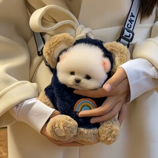 ��������������豭Ȯ�⹷����yС��¶�^��μ�����С��Ȯ����