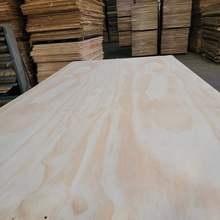 Sֱ15һоγzϰ壬 bɳ