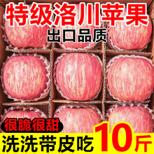 崨Otʿ𲻴ϞˮrFժ10/5/3l