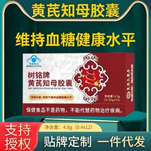 蓝帽保健食品树铭牌黄芪知母胶囊12粒/盒辅助降血糖维持血糖健康