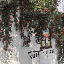 �Nޱ���پW�t�����������ռٻ�����ͥԺ���^���滨���TĘ�b�Ʒ