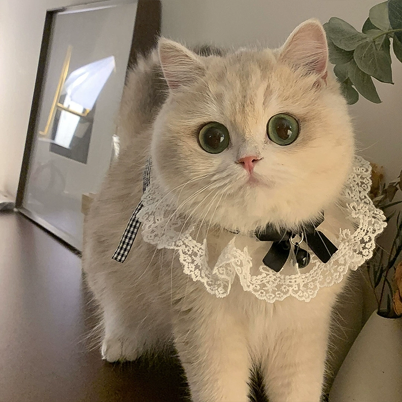 Scarf, eating bib, cute bow tie with bow, gold and silver