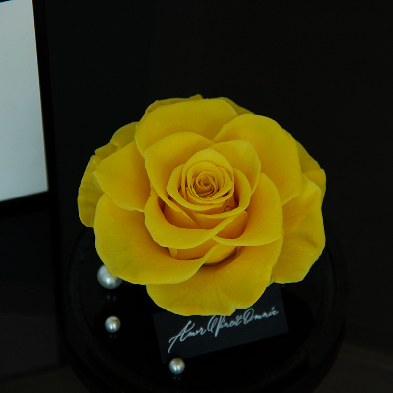 Estilo rosa amarillo