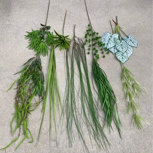 ����Gֲ�߶�ɭϵ��c��Y���b�ɢβ����������·�������~�Ĕ[��