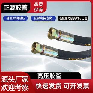 Production of hydraulic hose high pressure oil pipe assembly high pressure hose wholesale injection molding machine high pressure oil pipe