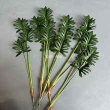 F~ֲcɭϵGֲŲ廨 Ҿ辰G~[zӰ