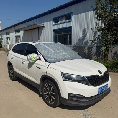 for cross-border export, Car clothing - silver-universal-door-snow-guard