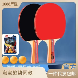 羽毛球拍;乒乓球;羽毛球