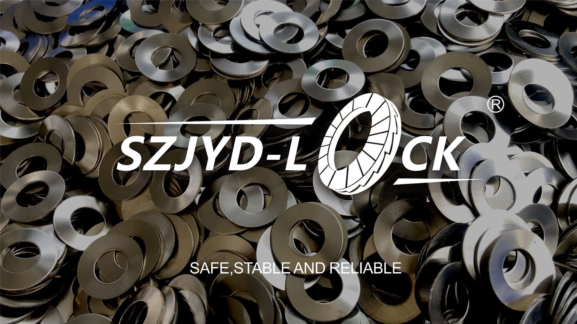 不锈钢碟形垫片  [20*40*2.25]    GB1972A