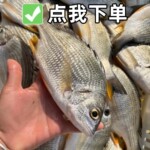 黄翅鱼黄立鱼新鲜冷冻海鲜水产潮汕海产品深海钓鱼黄脚立墙鱼 （4
