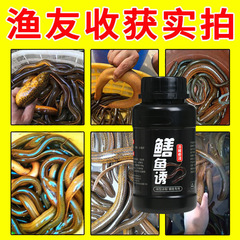 Huang Chan Ling Bait Mini Eel King Attractant Bait Lure Fish Odor Opening Attractant For Yellow Catfish, Loach, Shrimp Traps