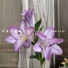 Purple perfume