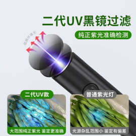 紫光灯鉴定专用蔬菜波尔多液蓝矾检测笔365nm手电筒荧光剂紫外线