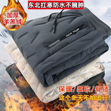 冬季羊羔绒裤休闲宽松束脚裤加绒加厚保暖居家外穿百搭直筒运动裤