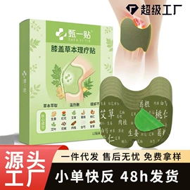 保健护具;保健器具配件;身体贴膏