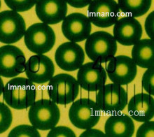 50nm ɫӫ΢ 10ml