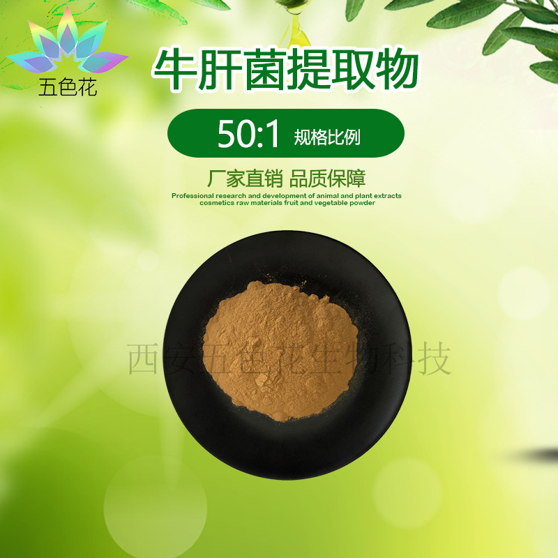 牛肝菌提取物50:1 水溶性 牛肝菌浓缩粉 黑牛肝菌提取物 现货包邮