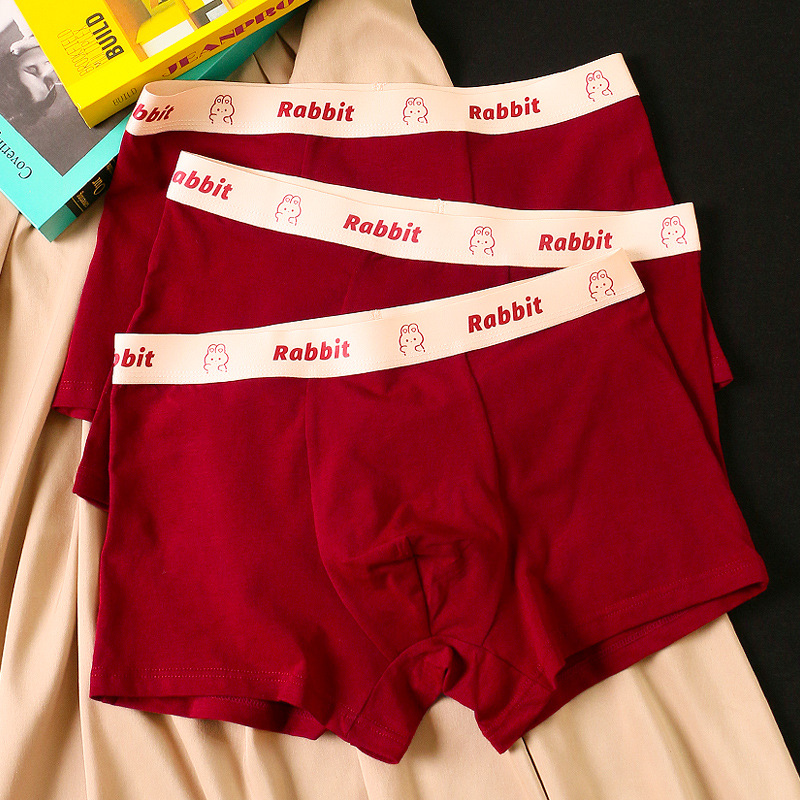 Caja de regalo, ropa interior, calzoncillos tipo bóxer para hombre, calzoncillos tipo bóxer de algodón puro, ropa interior de boda con estampado de conejo bonito, año animal