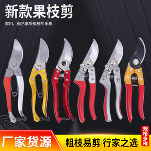 �F؛������֦��@�ּ�����֦��������֦��������@ˇ�������l