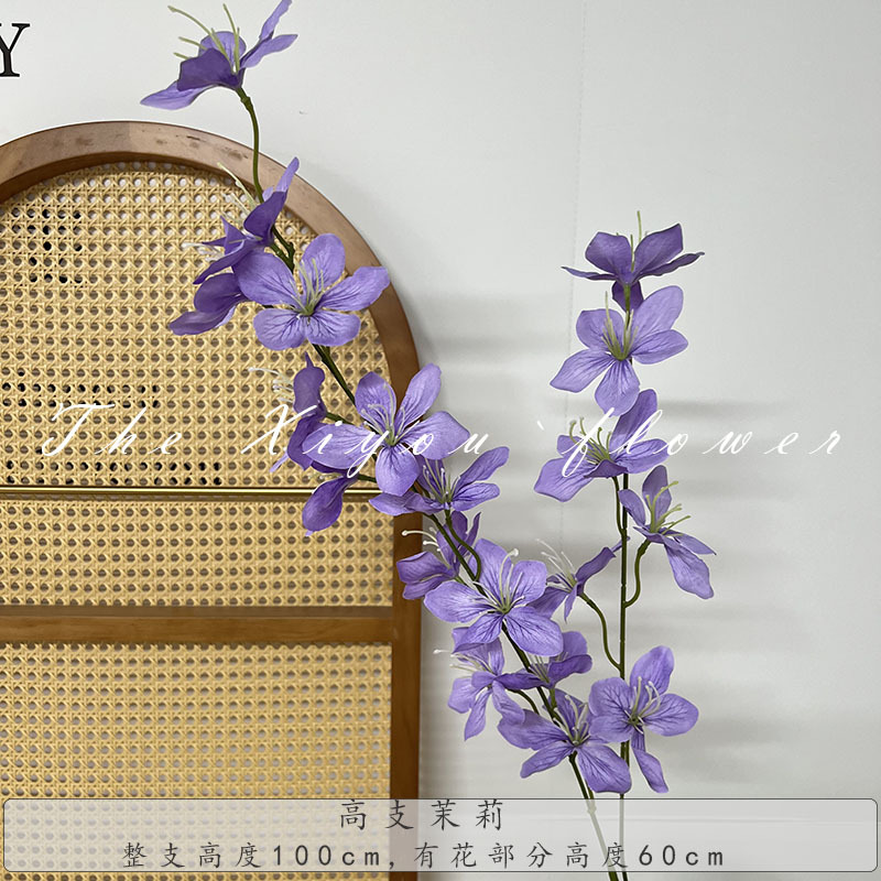 하이카운트 자스민-퍼플