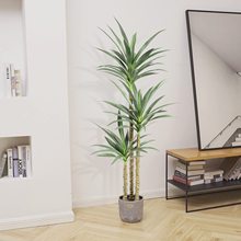 �羳���N���汱�W������������m�b�  �[��ͥԺ�͏d�쾰����Gֲ