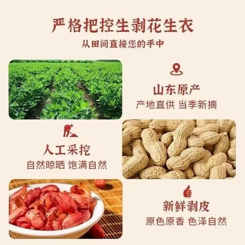Peanut Skin Red Coat Hua Sheng Yi 100g Dried Herbal Slices for Tea and Decoction in use