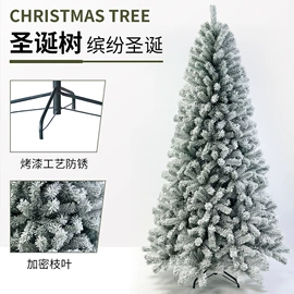 圣诞树;圣诞装饰品