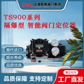 【厂家直销】TS900系列隔爆型 智能阀门定位器