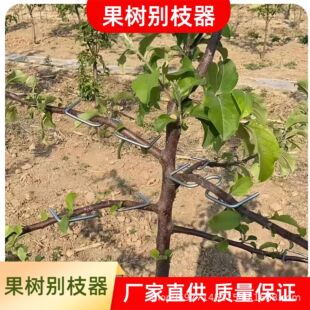 果树拉枝器定型器拿弯器梨树树枝拉直压弯开角别枝神器苹果樱桃树-阿里巴巴