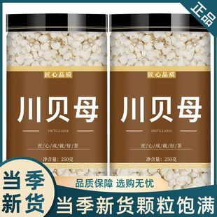 ��ؐĸ��ș�Ƭ�ٷ���Ş���Ĵ�Ұ����ș�Ĵ�ؐؐĸ��ؐ����Ʒ����