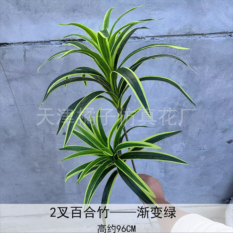 Flores de boda de alta calidad de flores de madera verde de bambú y lirio de pino masson de alta calidad