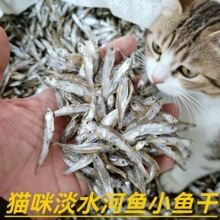 ؈����ʳС�~�ɵ���С�~�Ɍ�����ʳ���ʰl���a�}��Ŀ؈�Z���Z���l